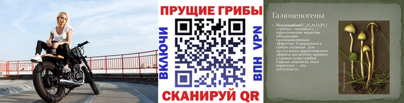 Псилоцибиновые грибы MAGIC MUSHROOMS  купить   blacksprut зеркало  Корсаков 