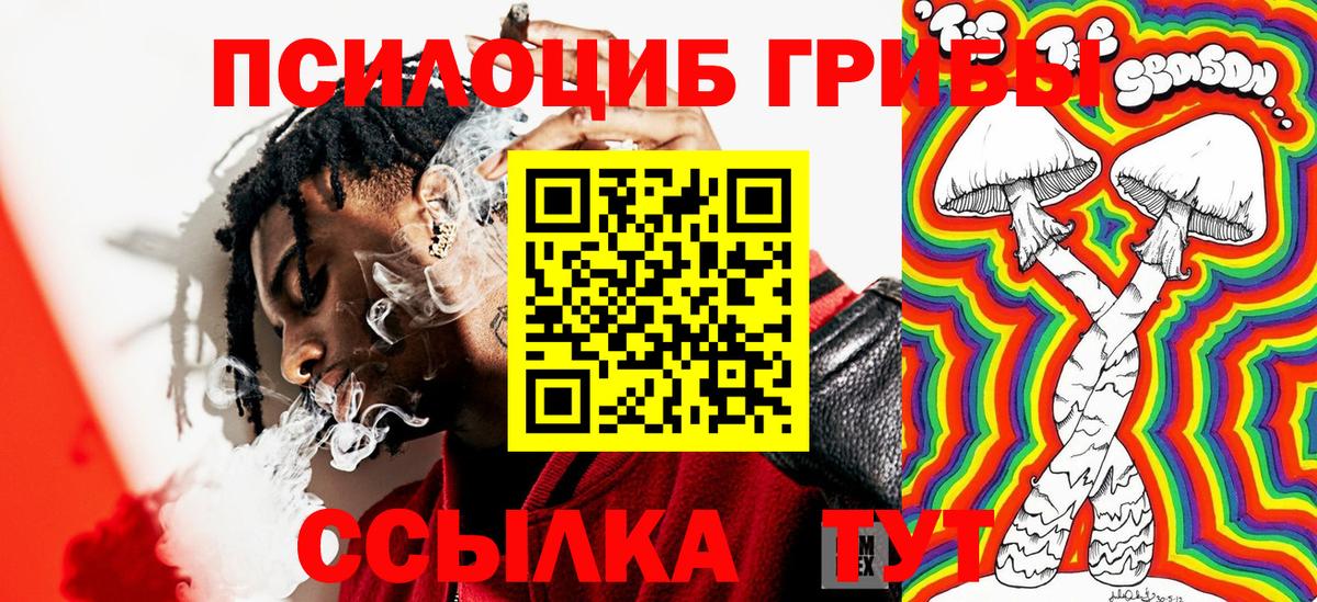 Псилоцибиновые грибы мицелий Корсаков