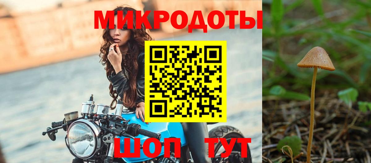 Галлюциногенные грибы GOLDEN TEACHER  Вход с VPN  купить  цена  Псилоцибиновые грибы мицелий  Корсаков 